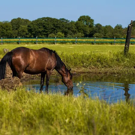 Bed & Breakfast De Smockelaer 3*