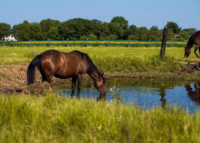 Bed & Breakfast De Smockelaer 3*