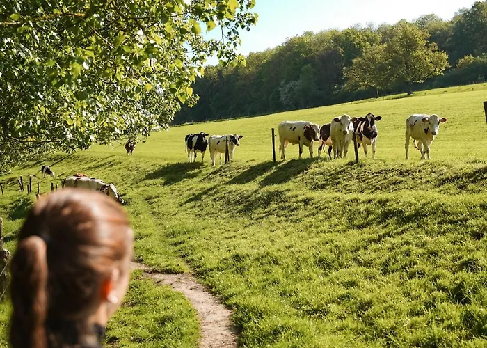 De Smockelaer Bed & Breakfast